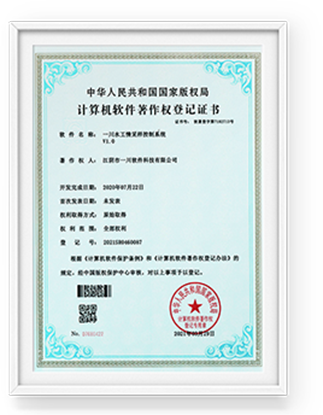 Quality Management System Certificate - Chinese