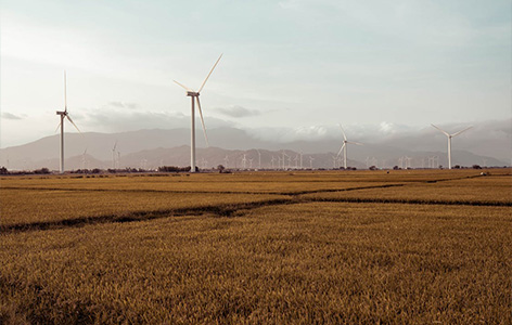 Science popularization: What is wind power grid connection?
