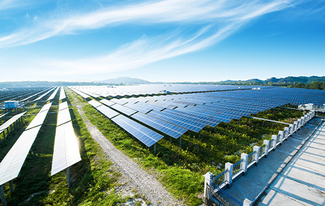 The multiple impacts of policies and supply chains on the slowing demand in the global photovoltaic market